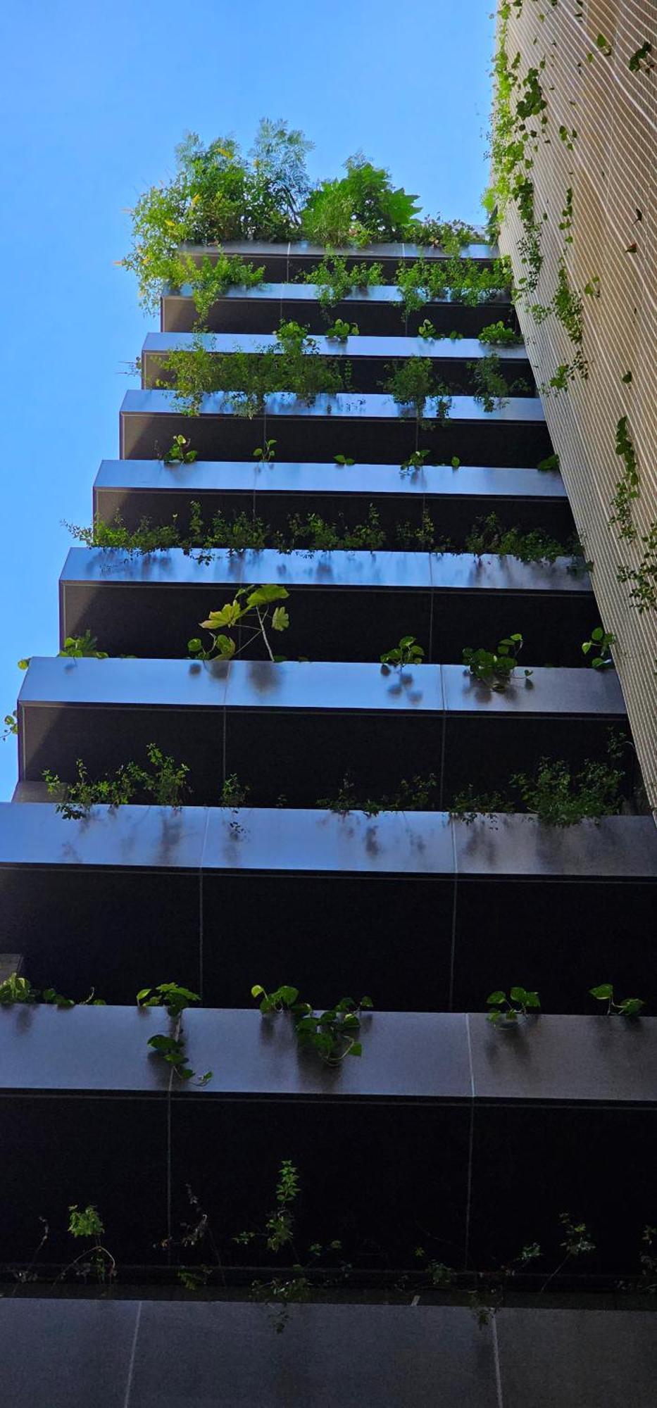 New Building On Avenue. Rooftop Pool